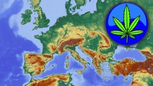 Sicherstellung von Cannabis