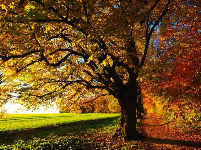 Verkehrsrisiko Herbst: Witterung schlechter